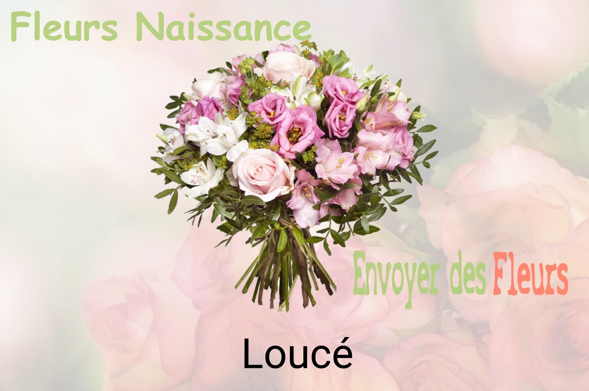 Bouquet de fleurs de naissance livré à Loucé